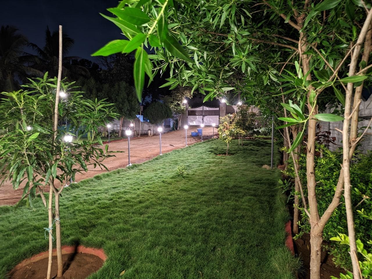 Garden at night